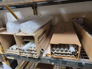 lot 29257 image: Assorted Fluorescent Bulbs