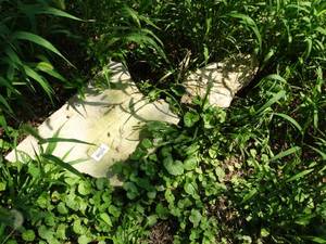 lot 38009 image: Lot of limestone rocks