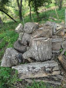 lot 38050 image: Large lot of firewood