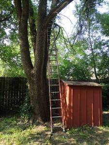 lot 38143 image: Large Extension Ladder
