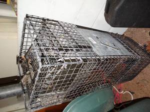 lot 38079 image: Live animal trap