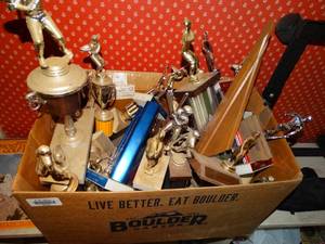 lot 38193 image: Lot of Assorted Trophies