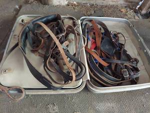 lot 1198 image: Pony harness