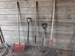 lot 1199 image: Assorted Forks