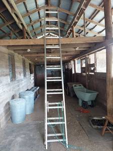 lot 1218 image: Werner 24 ft Extension Ladder
