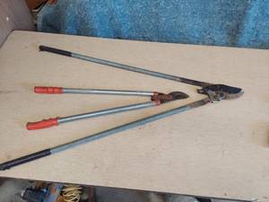 lot 2569 image: loppers