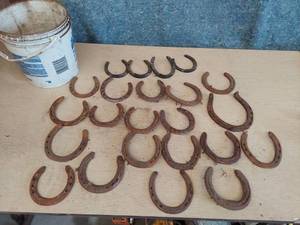 lot 2590 image: Horseshoes