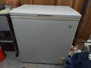 lot 1003 image: GE Chest Freezer