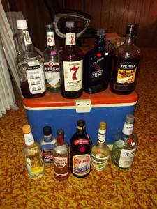 lot 1018 image: Thermos Steelcase Cooler and Opened Bottles