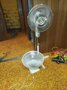 lot 1029 image: 2 Fans - Small One Did Not Oscillate