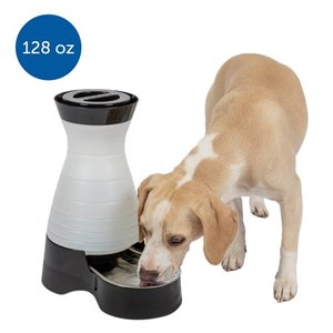 lot 2815 image: PetSafe Healthy Pet Water Station, Dog and Cat Water System with Stainless Steel Bowl