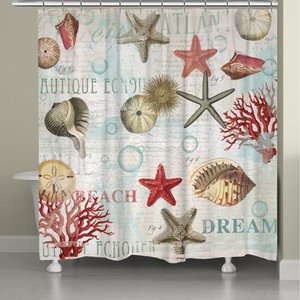 lot 56130 image: Laural Home Dream Beach Shells Collage Shower Curtain