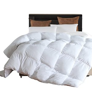 lot 35227 image: Microfiber Comforter (White,Queen)-Premium Brushed Microfiber Cover-Soft Plush Down Alternative Comforter Duvet Insert by L LOVSOUL (90x90Inches)