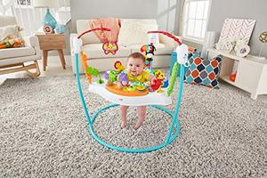 lot 35374 image: Fisher-Price Animal Activity Jumperoo, Blue, One Size
