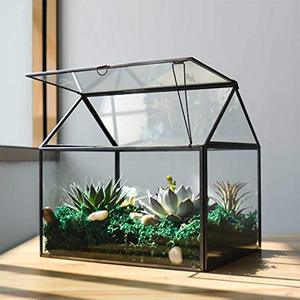 lot 35386 image: Large Glass Plant Terrarium House Succulent Glass Terrarium Kit with Lip Glass Greenhouse Terrarium for Plant 12.26X9.15X10.9inch (Black 2)