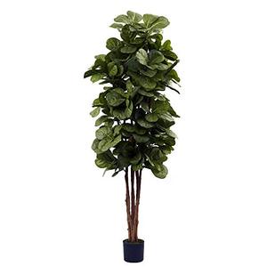 lot 35517 image: Nearly Natural 6ft Fiddle Leaf Fig Artificial Trees, 72in, Green