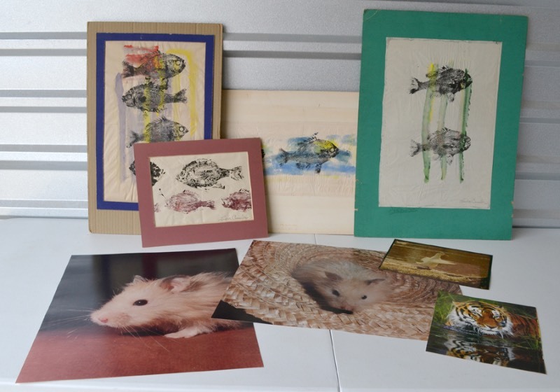 lot 5160 image: 8 Original Paintings and Photos