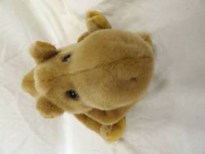 lot 1682 image: TY Camel Beanie