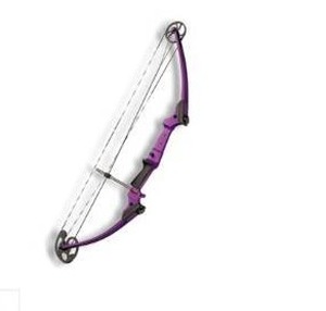 lot 6085 image: Genesis Purple One Cam Youth LH Compound Bow #10477