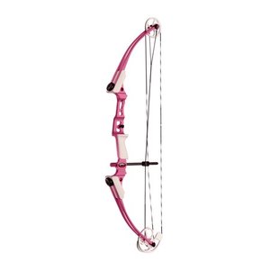 lot 6394 image: Genesis Mini Bow with Kit