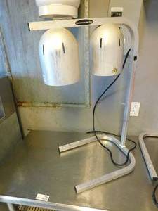 lot 7089 image: Commercial Pro 2 Bulb Heat Lamp