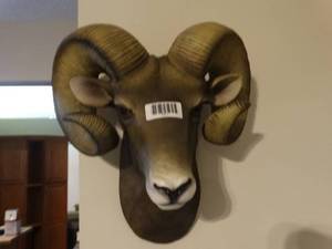 lot 1311 image: Awesome faux Ram shoulder mount