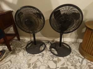 lot 1324 image: 2 pedestal fans