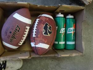 lot 1393 image: 2 footballs & 2 sports drink containers