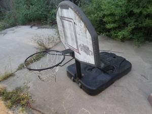 lot 1491 image: Portable basketball goal