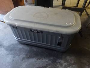 lot 1543 image: Igloo stock tank looking cooler