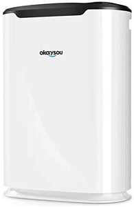lot 30416 image: Okaysou Air Purifier with Washable Ultra-Duo 2 Filters, Medical Grade H13 True HEPA, 5-in-1 Cleaner Odor Eliminators for Pets Smokers Dust Pollen VOCs for Large Room, 500 Sq Ft (White)