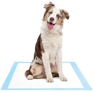 lot 30435 image: Amazon Brand - Solimo Super Absorbent Puppy Pads, Unscented, Large, 100 Count