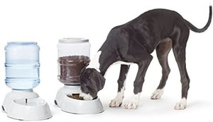 lot 2563 image: Amazon Basics Gravity Pet Food Feeder and Water Dispensers