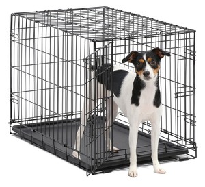 lot 7448 image: MidWest Single Door iCrate Metal Dog Crate