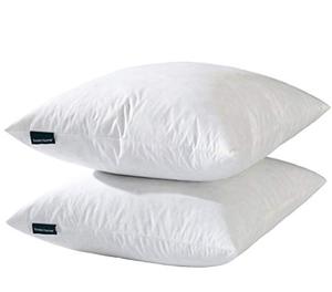lot 2150 image: 20x20 Decorative Throw Pillow Inserts-Down Feather Pillow Inserts-Square-Cotton Fabric-Set of 2-White.