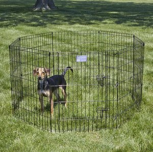 lot 2284 image: MidWest Foldable Metal Dog Exercise Pen  Pet Playpen. Black w door, 24W x 30H, 1-Year Manufacturers Warranty