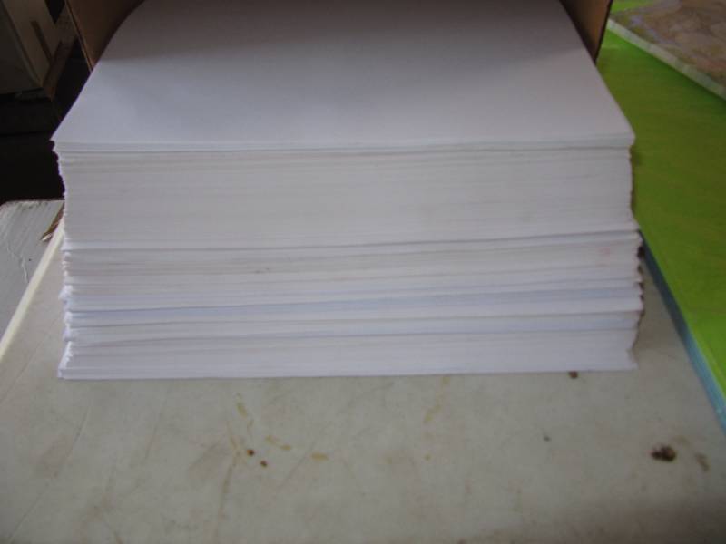 lot 2032 image: APX. 1000 SHEETS OF LOOSE PRINTING PAPER, 12 X18 COLOR PAPER, 2 PAKS OF STATIONARY WITH RABBITS
