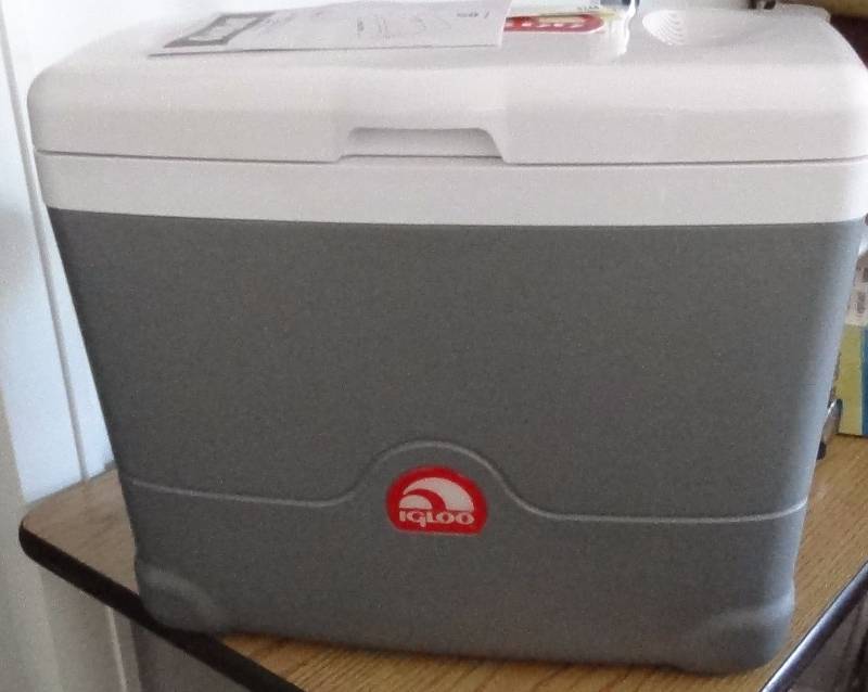 lot 3248 image: Igloo Iceless Thermoelectric Cooler