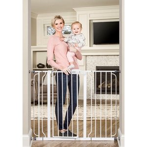 lot 4000 image: Regalo 38-Inch Extra Tall and 49-Inch Wide Walk Thru Baby Gate, Includes 4-Inch and 12-inch Extension Kit, 4 Pack of Pressure Mount Kit and 4 Pack of Wall Mount Kit