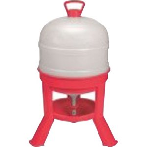 lot 4097 image: WATERER DOME RED 8 GALLON