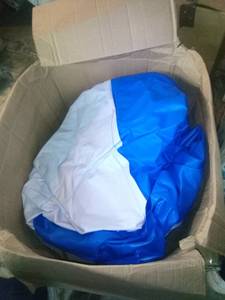 lot 4222 image: unknown inflatable