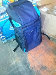 lot 4233 image: igloo backpack cooler