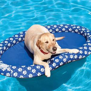 lot 4481 image: SwimWays Spring Float Paddle Paws Dog Pool Float - Large (65 lbs and Up)
