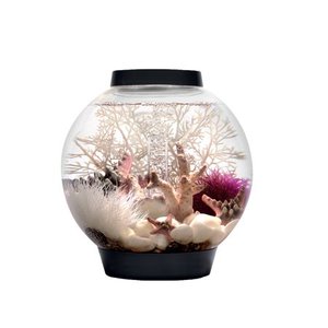 lot 12281 image: biOrb Classic LED Aquarium, Black, 15-Liter