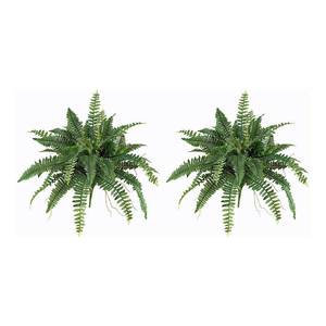 lot 89204 image: Nearly Natural 40 Boston Fern, Set of 2