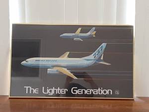 lot 7058 image: Boeing 737 The Lighter Generation Framed Picture  30.25 x 18.25