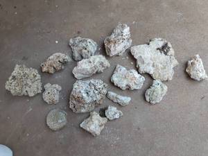 lot 8056 image: Lot of 15 Saltwater Aquarium Coral and Stone Pieces