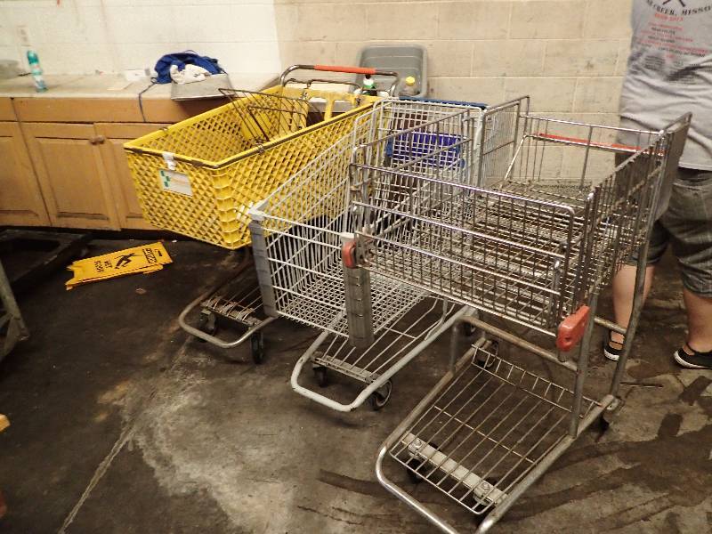 lot 4370 image: Lot of (3) Shopping Carts