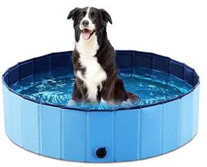 lot 1889 image: Pet Bath Pool