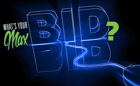 lot 3 image: Maximum Bidding